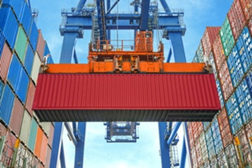 Pro Tips for Hassle-Free and Safe Vehicle Transport